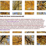 Radio Art Zone: Environmental Edit by Adrian Newton